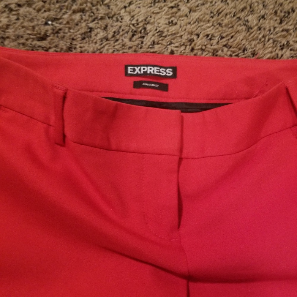 Express Columnist Ankle Pants